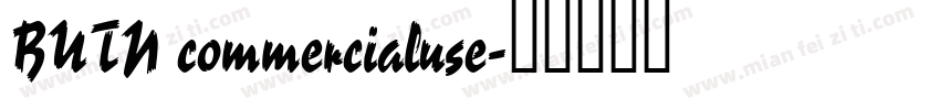 BUTN commercialuse字体转换